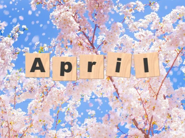 4月の活動予定